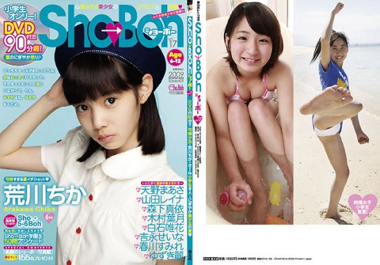 Shoboh Vol. 17